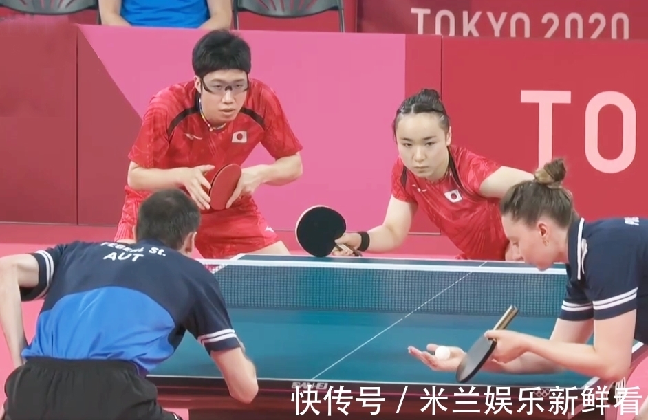 其他城市树 其他城市树